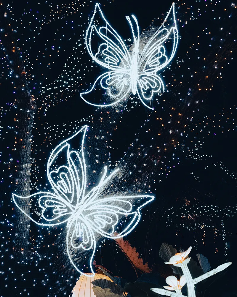 Illuminated butterflies against dark background