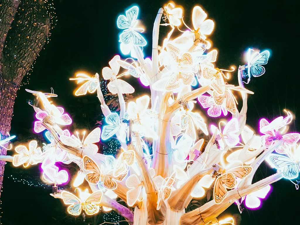 An light display tree illuminated with many colorful light butterflies at Zoo Lights.