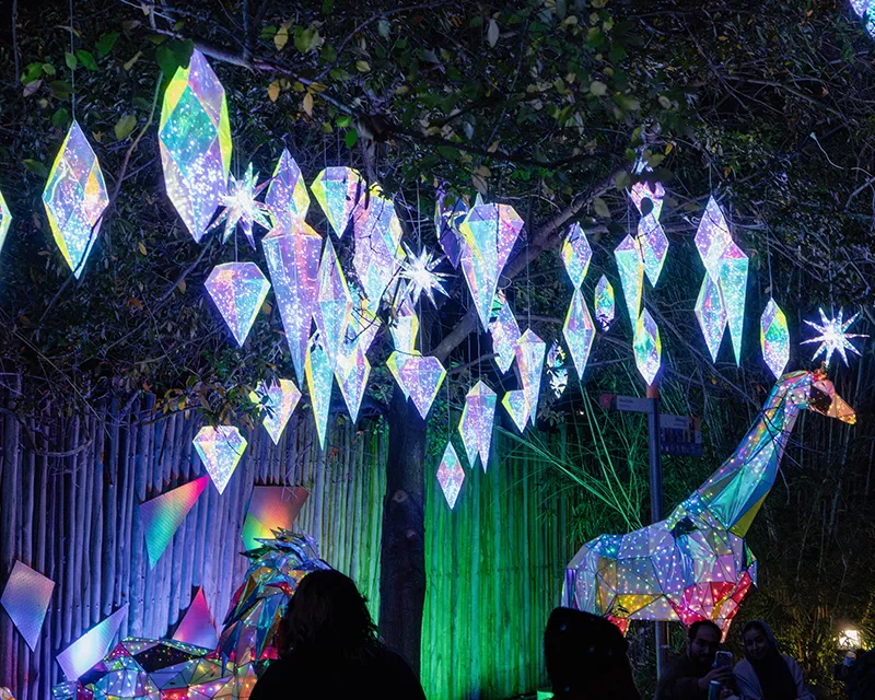 Colorful illuminated crystals and giraffe