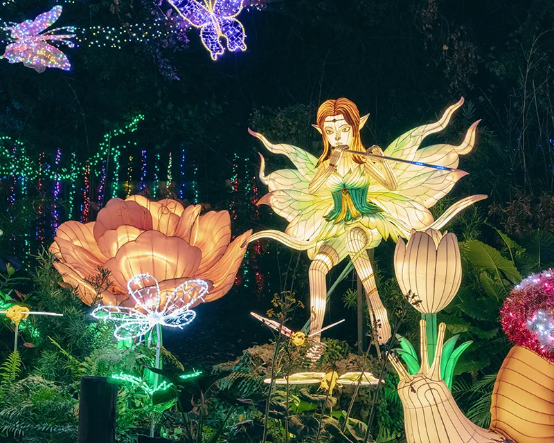 Colorful fairy surrounded by glowing flowers.