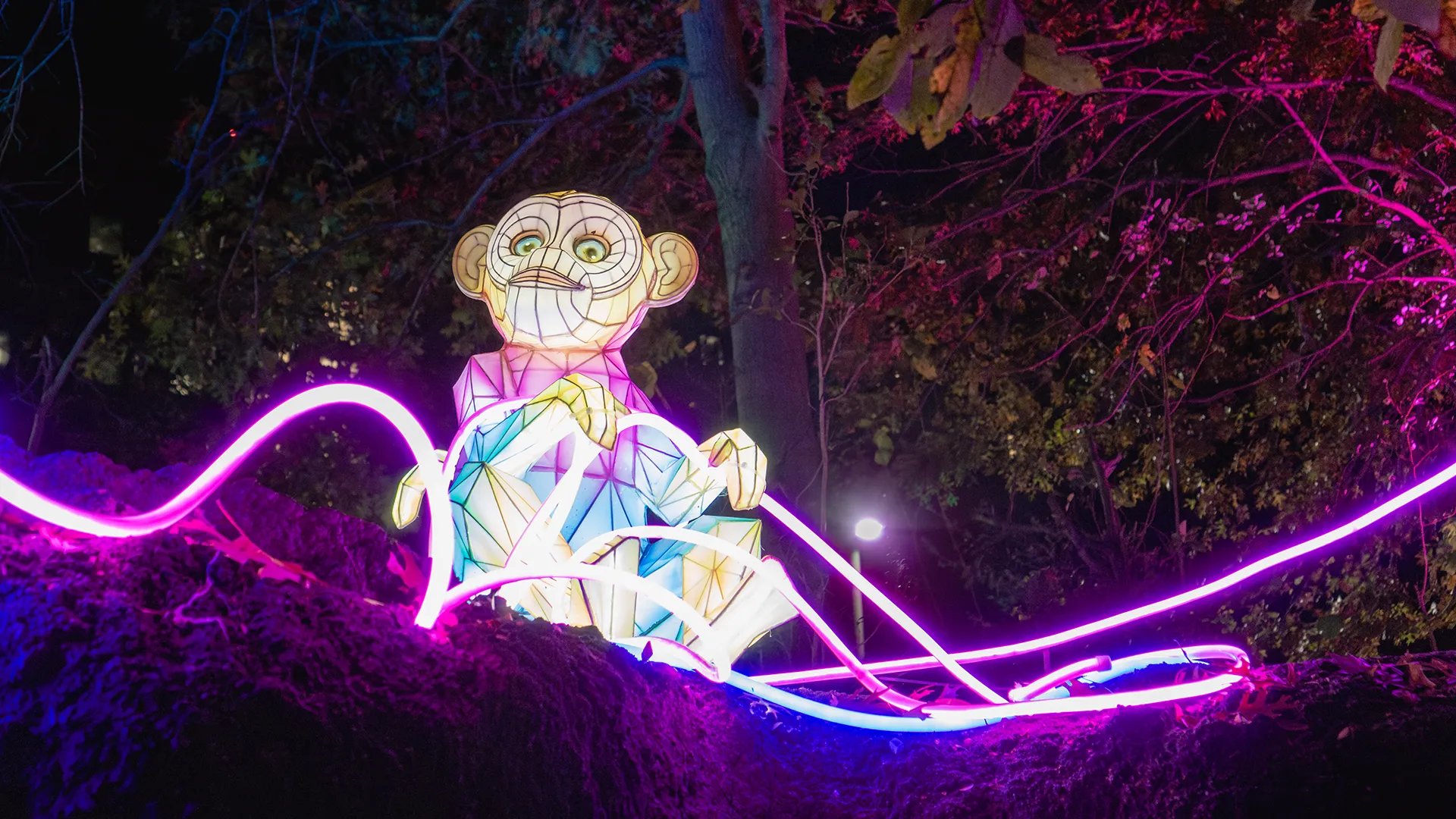 Colorful illuminated monkey display at night.
