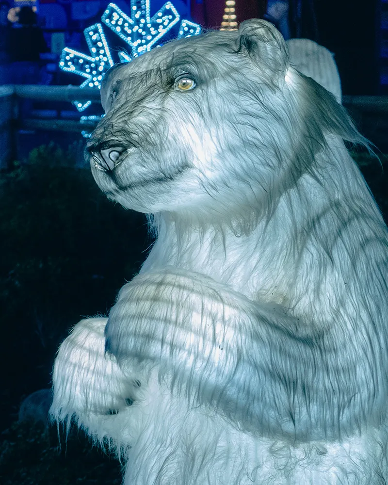 Illuminated polar bear sculpture display