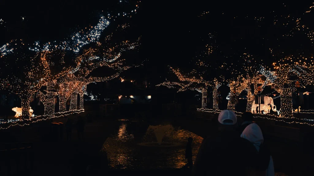 Illuminated trees by a tranquil pool